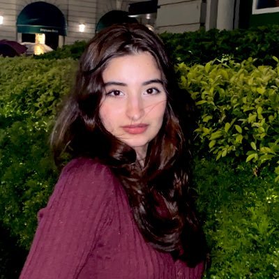 meenaloyedaryab's profile picture. 