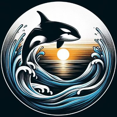 Aidanisenor123's profile picture. 