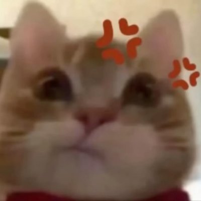 melody8745's profile picture. i'm usually studying data analysis and listening to paramore