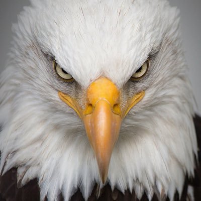 NSVRIL_'s profile picture. Growing the NS Community! Add a  comment to be included in next list!