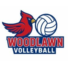 WHSladycardsvb's profile picture. 