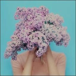 ysabella2056376's profile picture. 何気ない日常が好き。