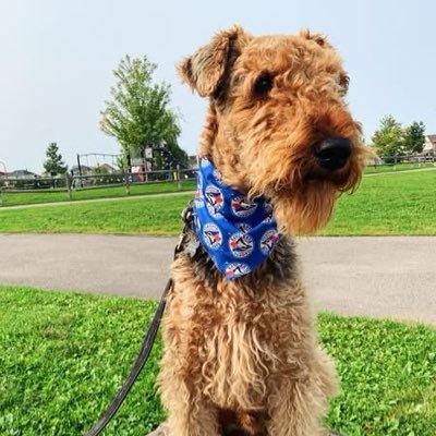 LJ_Loves_Sports's profile picture. 🇨🇦 Lover of sports, science, food, fashion and doggos.
