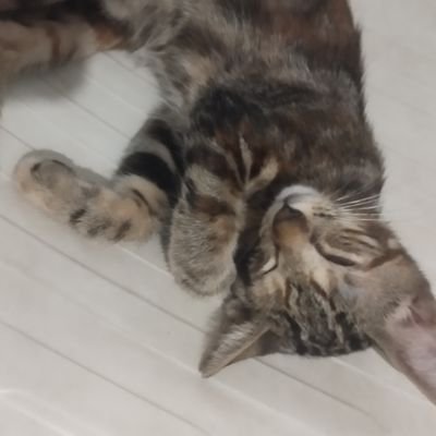 davlok657's profile picture. 