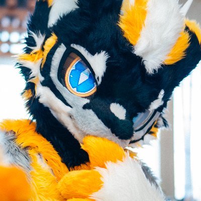 Dragon_Feather's profile picture.