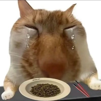 alyoshao0_0's profile picture. really really lazy artist
