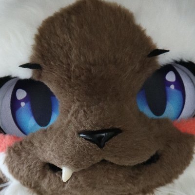 Siampoo_'s profile picture. 고자극 퍼리모둠쌈밥 | 🪡@Amuwu0306