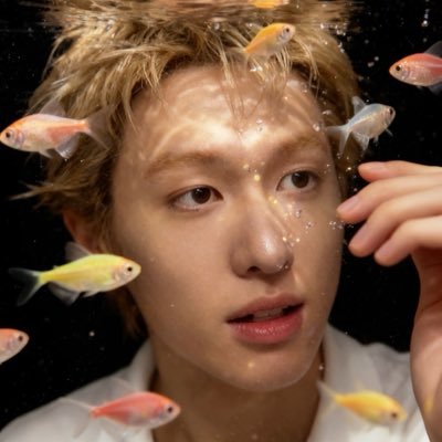 norisahio_o's profile picture. 