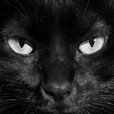 bashayeraltaif's profile picture. INTJ | just wasted 3 seconds of ur life reading this