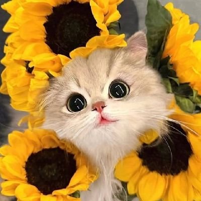 @ujeen25