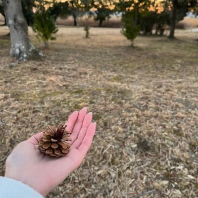 nkn_zz7's profile picture. ドーパミン中毒から抜け出す！