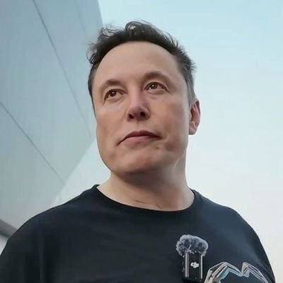 musk534441's profile picture. 