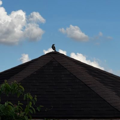 Sudhir_72's profile picture. 💼 Software Engineer | ☁️ AWS-CSAA | Loves JavaScript!