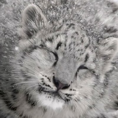 MAYSRULZ's profile picture. read strawpage byf !