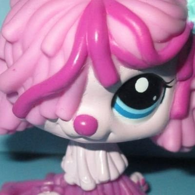 sxlprvrsn's profile picture. 18 Y/O PUPPYFAILURE🌈 ProblemCauser ♡  PLUR 🧁 SPARKLEFREAK 🕊️ UNDER 16 DNI 🔞 @msradiostalking nsfw priv