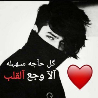 almdlool11's profile picture. 