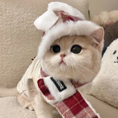 rina_mindgn's profile picture. 2022年に半導体ETFを買ってから、短期は需給、中期は業績、長期は社会の流れ──
時間軸ごとに見る視点が自然と整ってきました。