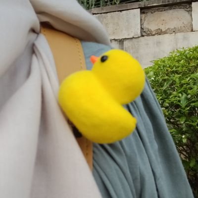 @Defi_Paujiah99