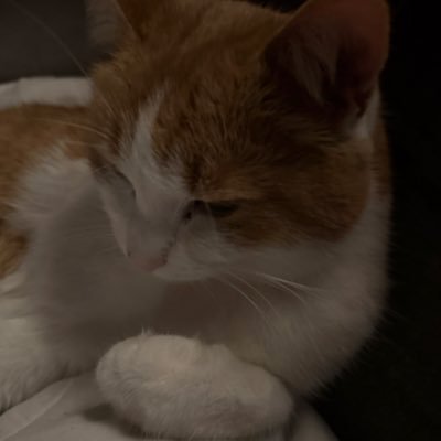 kcFive12's profile picture. Please, Carol.