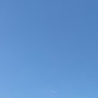 mark49365609's profile picture. 