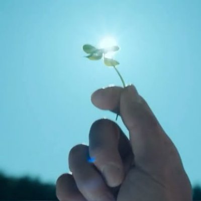 kaylavw_01's profile picture. 