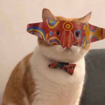 THEBaoFuL's profile picture. 我的眼里只有哈基米