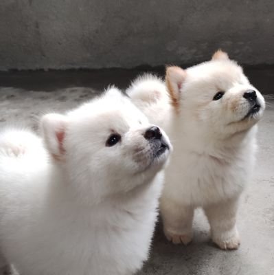 qtpattootee's profile picture. manifesting big wins everyday🍀💸