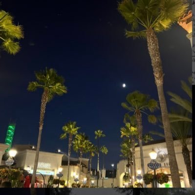 Shatha_sd1's profile picture. @qudent