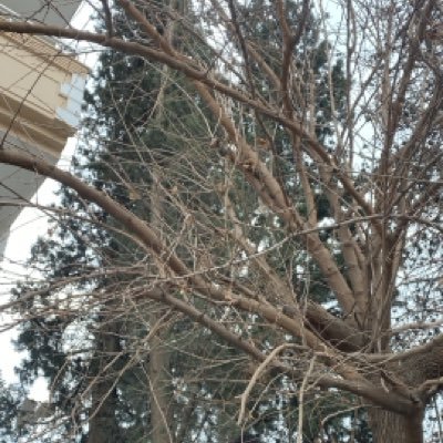 MehmetK18577937's profile picture. 