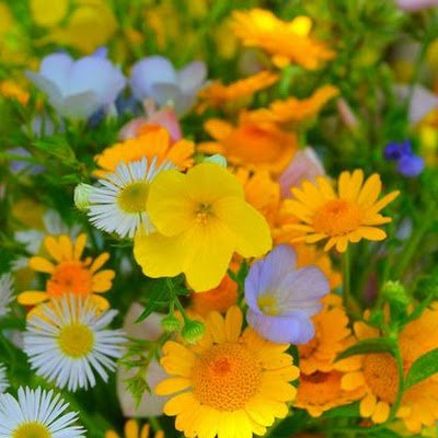 VBilanenko92729's profile picture. 