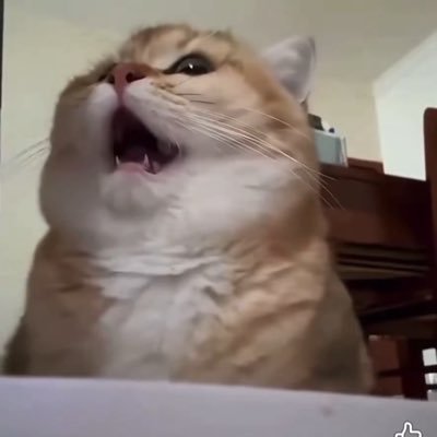 hakaxxx's profile picture. @guxvlu @nama_k0