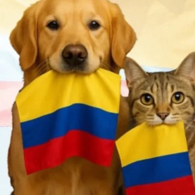 angelar42848720's profile picture. De la vida no quiero mucho. Quiero apenas saber que intenté todo lo que quise, tuve todo lo que pude, amé lo que valía la pena y perdí...Pablo Neruda