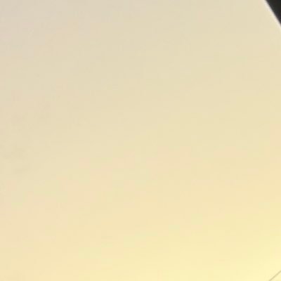 yeeeeei_sushi's profile picture. 🎨