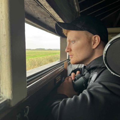 JoeWyersR's profile picture. Mediocre Photography of Birds. 125 species and counting. TikToK: Wildlife with Wyers