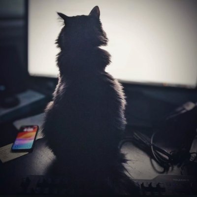 allensyin's profile picture. AI research @deepcogito

Past: @RealityLabs, PhD @DukeU, @MIT