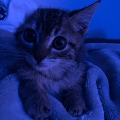 austintxfba's profile picture. 20yo | Online Distributor