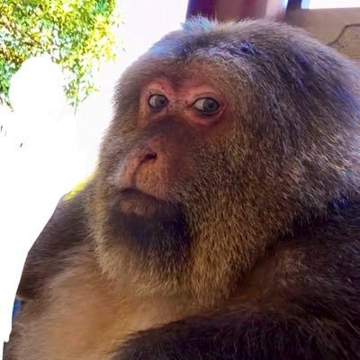 kittybsnyo8's profile picture. 