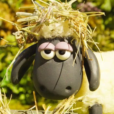 SunflowerX_Dana's profile picture. Mindset determines everything. Smile and face each day, and luck will always favor those who stay positive 🌞!🥂
My dream is to travel around the world 🌍✨.