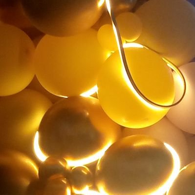 00Tin00tin00's profile picture. 