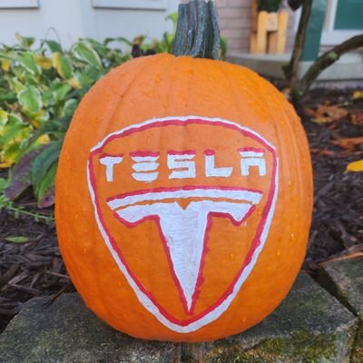 StephenMSTR's profile picture. Tesla and Solana investor