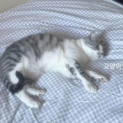 LucyChen1452508's profile picture. 