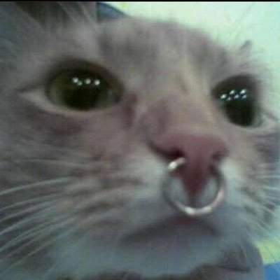 ChaBlck's profile picture. 