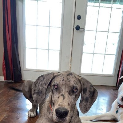 Michael79549830's profile picture. 