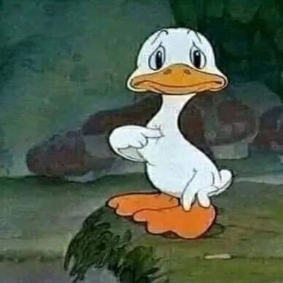 Jaro1445935b's profile picture. 