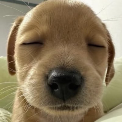 slixipoo's profile picture. @fwslix