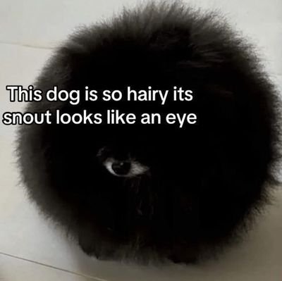hello_koko_'s profile picture. hey | fan of baldi's basics, cuphead, blockstrike, w&g, spongebob, garfield | minor