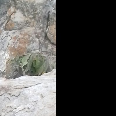 mrcodegeek's profile picture. 