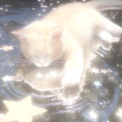 starrynighto_'s profile picture. 