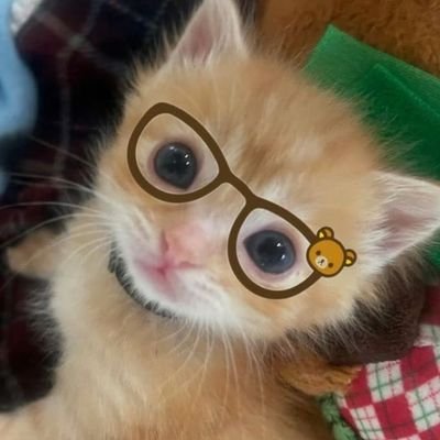 @miaw_jm