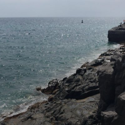 manutf71992's profile picture. 